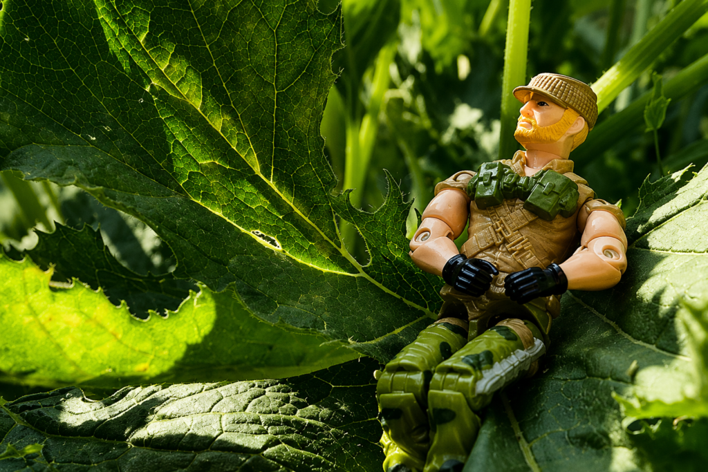 Top 5 Things to Look For in a Professional Action Figure Buyer New York