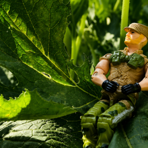 Top 5 Things to Look For in a Professional Action Figure Buyer New York